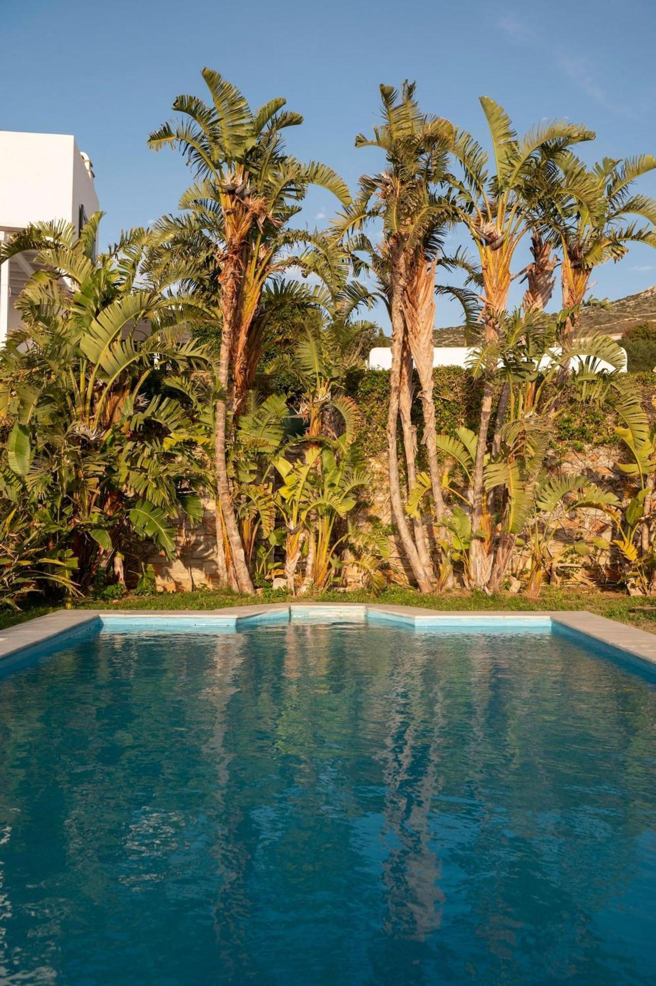 Villa Franca Ideal For Wedding Parties Páros
